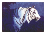 White Tiger in the Night - Latch-hook Rug White Tiger in the Night - Latch-hook Rug