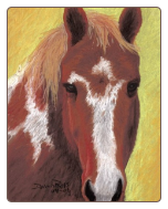 Wistful Mare - Print Wistful Mare - Print